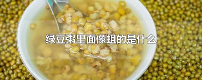 ​绿豆粥里面像蛆的是什么