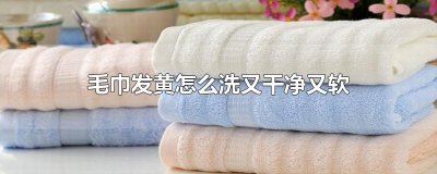 ​毛巾发黄怎么洗又干净又软