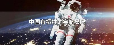 ​中国有牺牲的宇航员吗