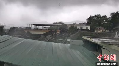 ​潮州现中等强度龙卷风，树木倒伏被扭断