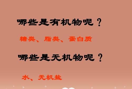七年级上册有机物和无机物的概念