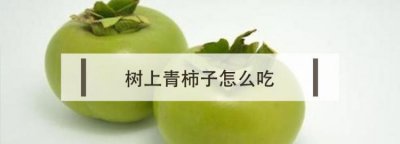 ​青柿子能吃吗，8月的青柿子能吃吗？