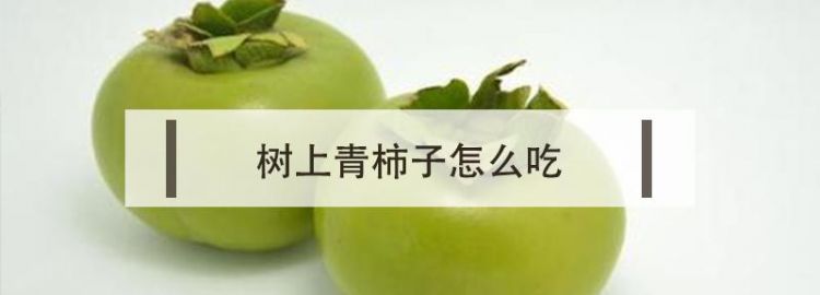 8月的青柿子能吃吗