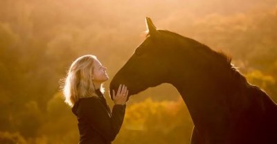 9部最好的,关于马的电影,每个人都会对马儿着迷(上)