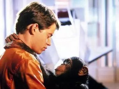 盘点与猴有关的经典电影