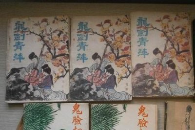 ​玉娇龙原著小说