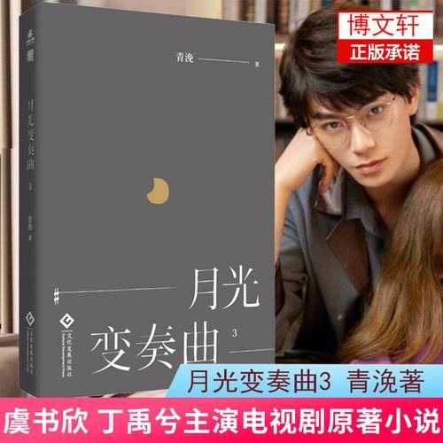 月光变奏曲的原著小说