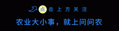 ​常见的24种葡萄品种（盘点葡萄5大热门品种）