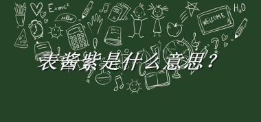 表酱紫是什么意思?