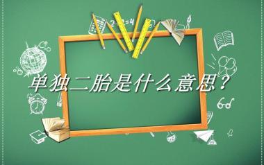 单独二胎是什么意思?
