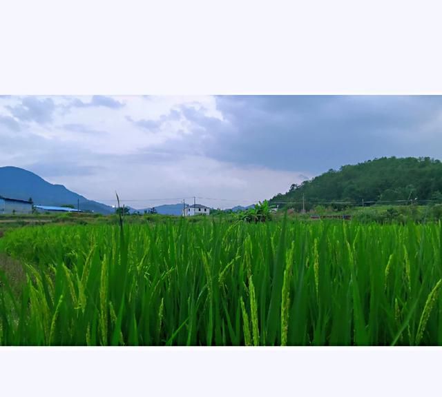 祝福老师节日快乐的话，“祝老师节日快乐”的成语有哪些？图9