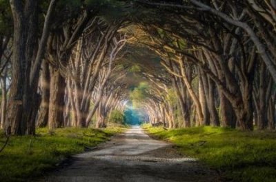 ​埃及金字塔未解的谜团，塔内藏有超自然能力