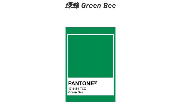 sandro属于什么档次（分享1款服装品牌档次）