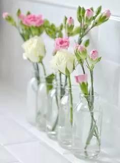 插花的13个基本技巧教程 0基础也能学会的插花教程(15)