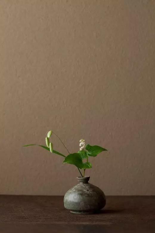 插花的13个基本技巧教程 0基础也能学会的插花教程(6)