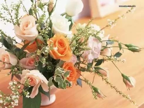 插花的13个基本技巧教程 0基础也能学会的插花教程(16)