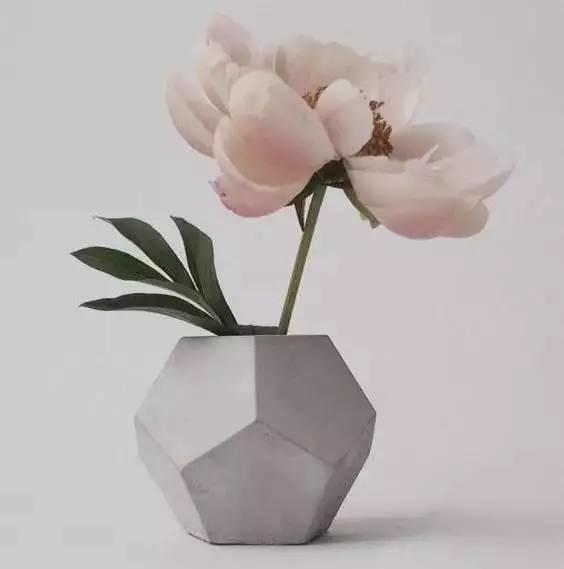 插花的13个基本技巧教程 0基础也能学会的插花教程(7)