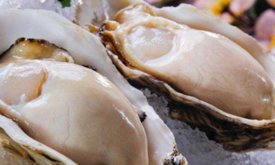 ​熟的生蚝能隔夜吃,生蚝煮熟了过夜还能吃吗