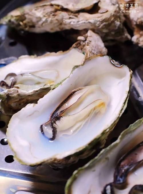 熟的生蚝能隔夜吃吗