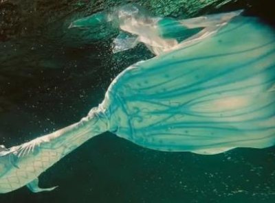 ​神农架为什么是禁区，恐怖的白化现象使动物衰老