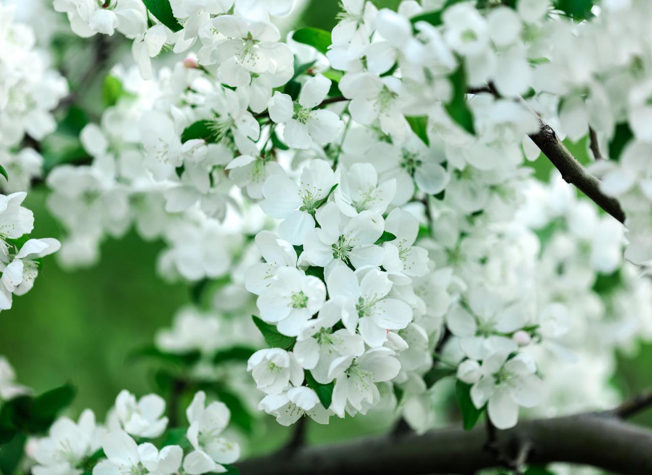 几两几钱命查询表 几两几钱命算命表