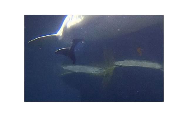 发什么信息才能挽回一段感情 发什么信息才能挽回一段感情