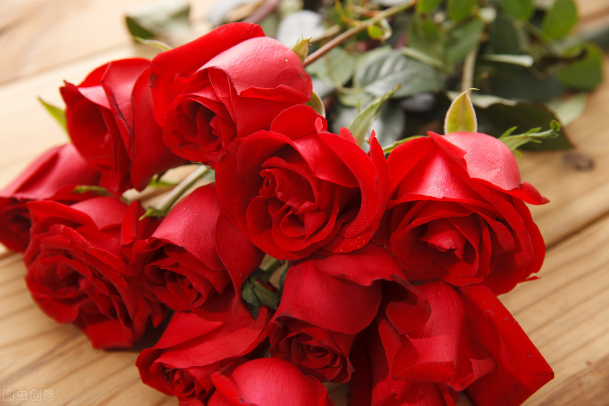 小玫瑰为什么室内养不活(为什么盆栽小玫瑰容易死)