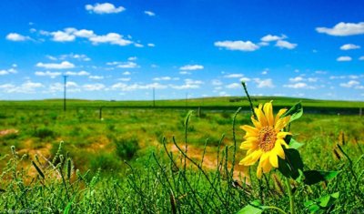 全国34个省,其中33个简称都是一个字,只有内蒙古是三个字