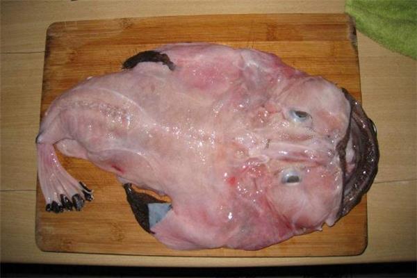 安康鱼什么人不能吃 婴儿能吃安康鱼吗 安康鱼什么人不能吃 婴儿能吃安康鱼吗