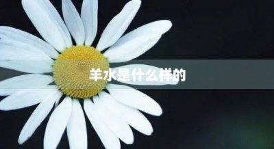 羊水是什么样的(新生儿会吐羊水是什么样的)
