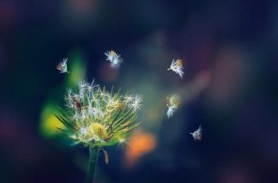 ​盗墓笔记西王母的未解之谜 王母的长生之法 东西