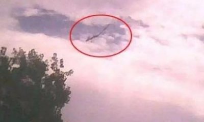 ​中国历史上真龙现身事件真相 现实生活中真龙