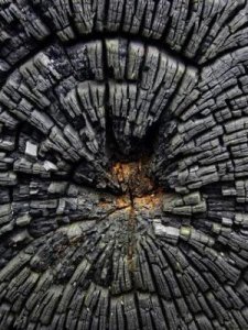 ​活性炭是什么(活性炭是什么材质)