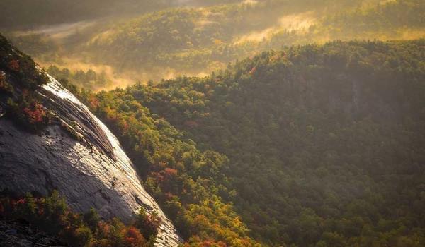 生活互联网稳住了自己的基本盘  1