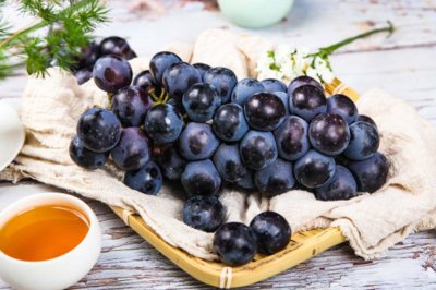 ​阳台盆栽葡萄种植方法