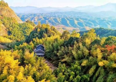 如何释放压抑已久的情绪