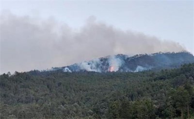 云南玉溪山火燃烧迅猛 最新进展如何?