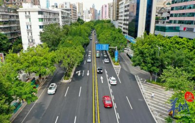 20条道路(路段)“上榜”,广州发布第一批特色风貌林荫路名录