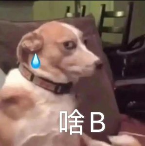 礼貌又阴阳怪气的骂人话