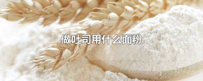 吐司一般用什么面粉 做吐司面包用什么面粉