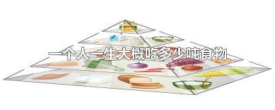 一个人一生大概吃多少吨食物