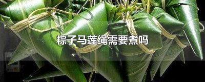粽子马莲绳需要煮吗