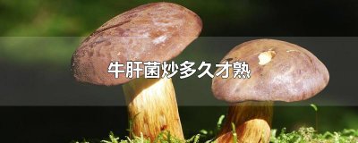 牛肝菌炒多久才熟