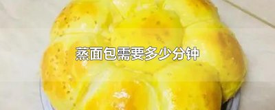 蒸面包需要多少分钟