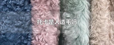 托卡是人造毛吗