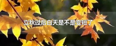 立秋过后白天是不是变短了