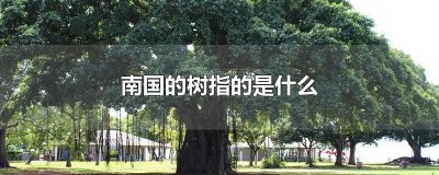 南国的树指的是什么