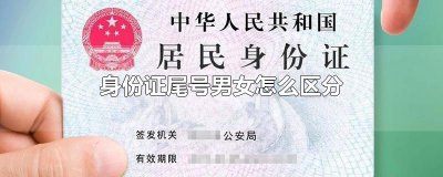 身份证尾号男女怎么区分