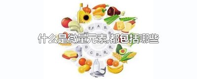 什么是微量元素,都包括哪些