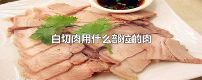 做白切肉用猪的哪个部位做才好吃 白切肉选什么部位的肉